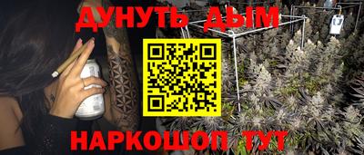 PSILOCYBIN Туймазы