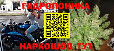 PSILOCYBIN Туймазы