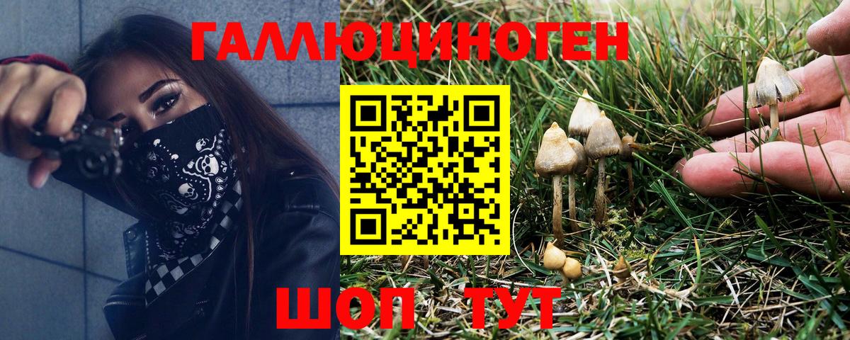 Благодарный  Галлюциногенные грибы MAGIC MUSHROOMS  Вход с VPN  Псилоцибиновые грибы MAGIC MUSHROOMS 